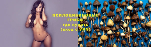 стафф Алексеевка